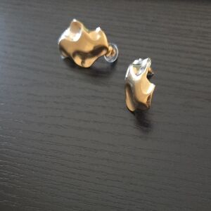 Elegant Gold and Silver Women's Earrings